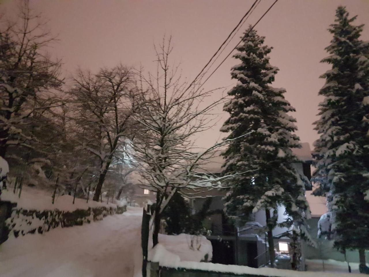 Cosy And Chic... Parking Included Διαμέρισμα Σαράγεβο Εξωτερικό φωτογραφία