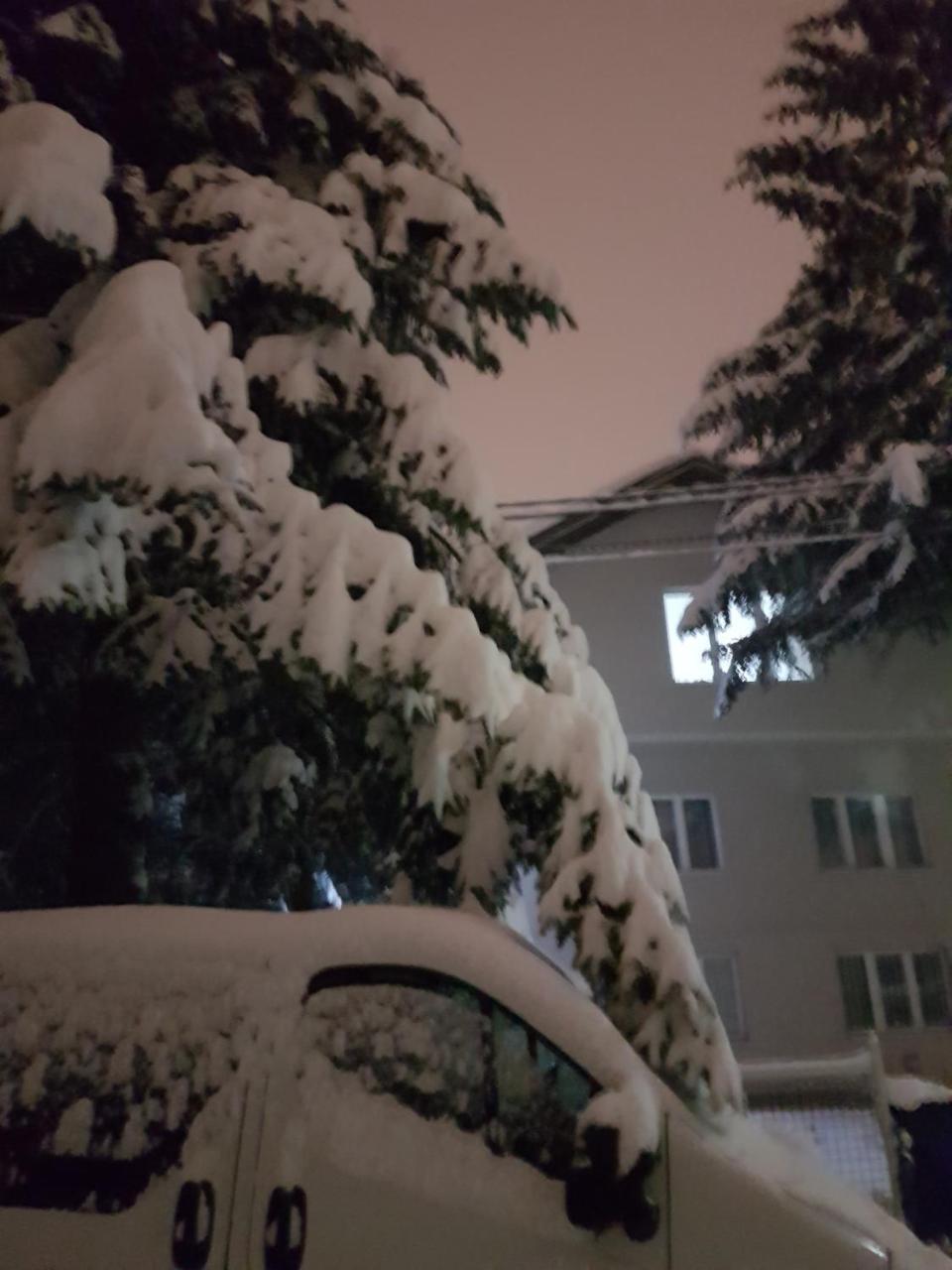 Cosy And Chic... Parking Included Διαμέρισμα Σαράγεβο Εξωτερικό φωτογραφία